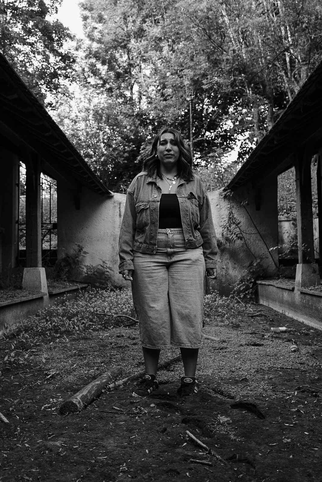 La cour abandonnée